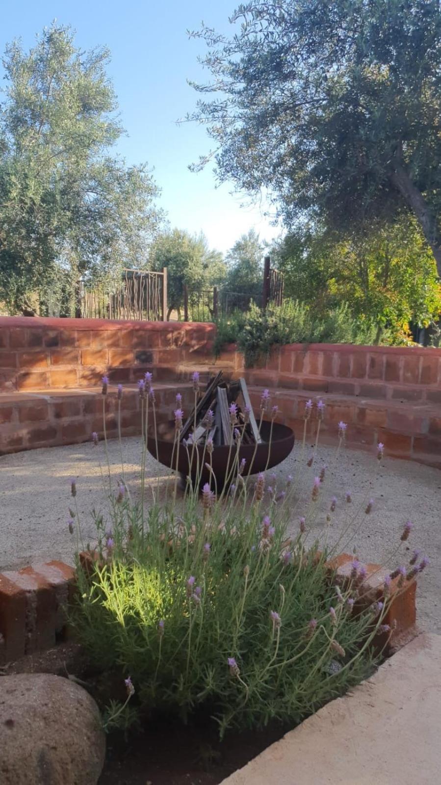 Estancia Los Amigos Valle De Guadalupe Bagian luar foto