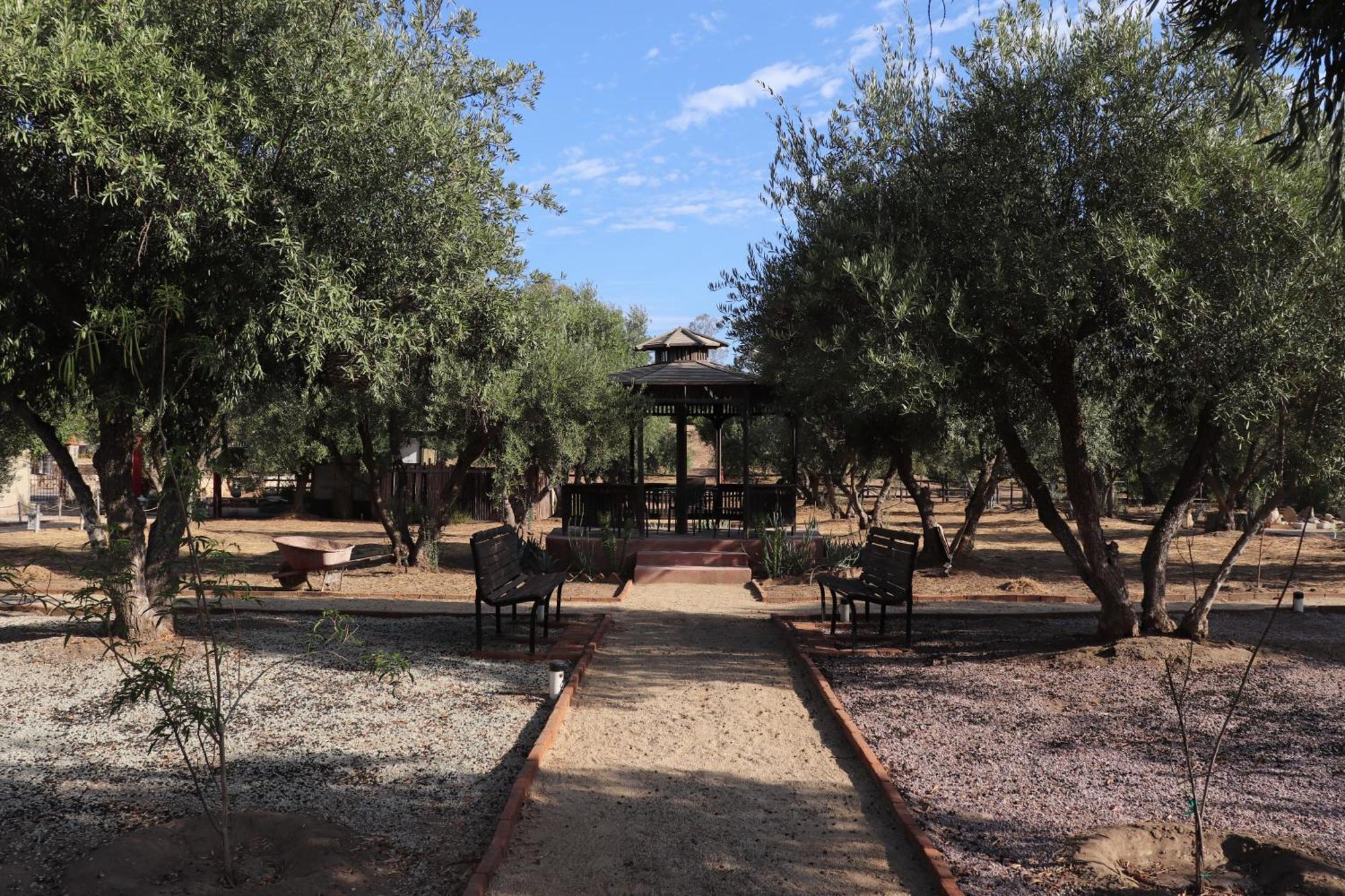 Estancia Los Amigos Valle De Guadalupe Bagian luar foto